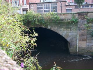 Confluence of Sheaf and Don